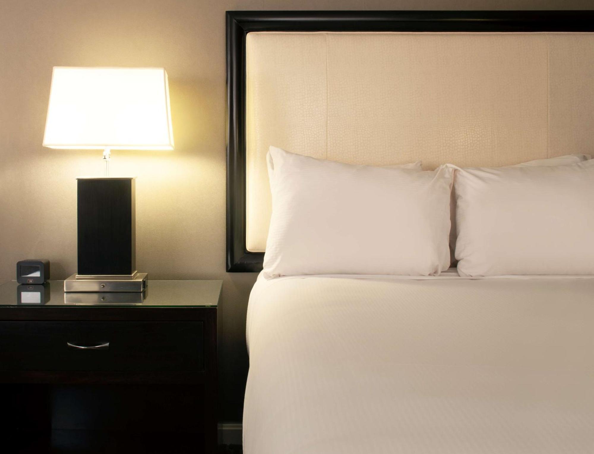 Hilton Alexandria Old Town Ξενοδοχείο Εξωτερικό φωτογραφία